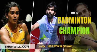 Badminton's Greatest: Who's the Champion?