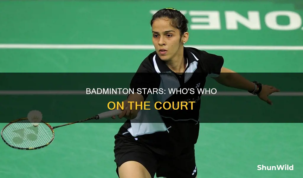 who is badminton player