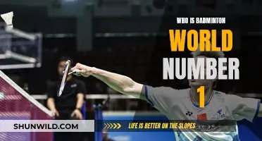 Top Badminton Player: Who's World Number One?