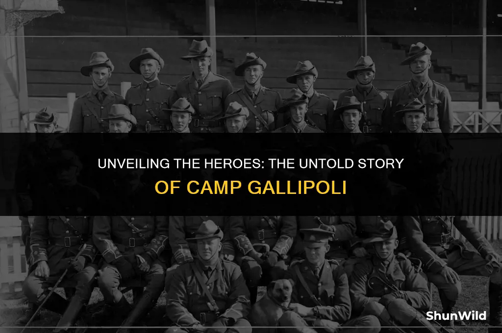 who is behind camp gallipoli