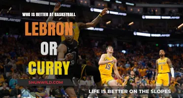 LeBron vs Curry: Who's the Basketball GOAT?