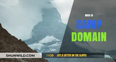 Unveiling the Mystery: Who is Camp Domain?