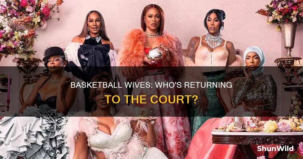 who is coming back on basketball wives