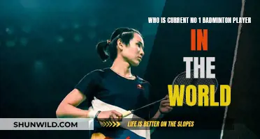 Top Badminton Player Globally: Who's the Best?