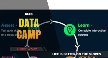Unveiling DataCamp: Your Gateway to Data Science Mastery