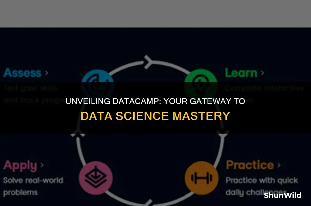 who is data camp