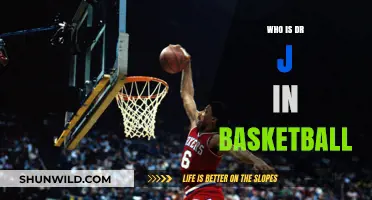 The Legend of Dr. J: Basketball Icon