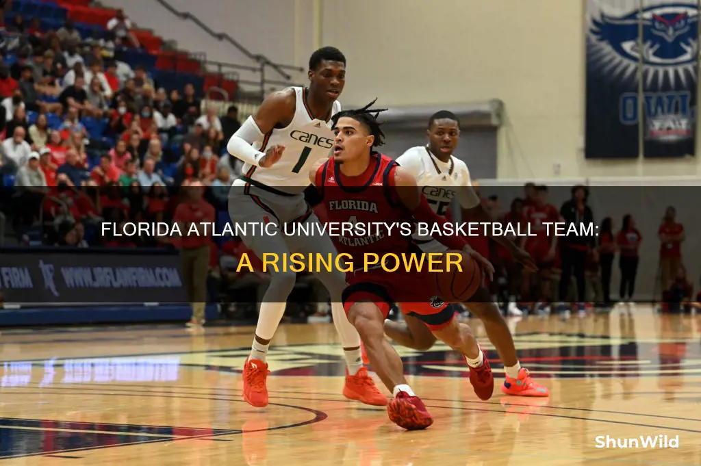 who is fau basketball