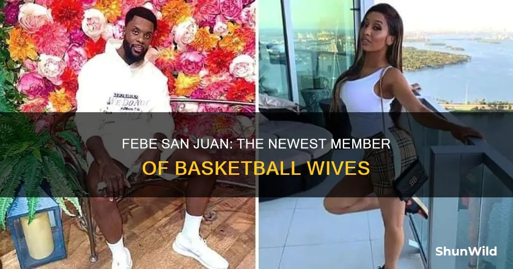who is febe on basketball wives