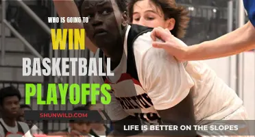 Who Will Be Crowned Champions of the Basketball Playoffs?