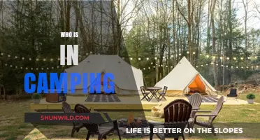 Exploring the Great Outdoors: Who's Really in Camping?