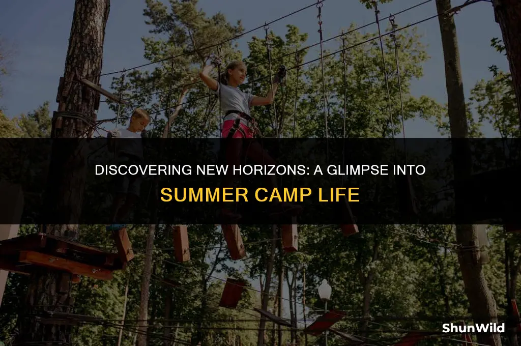who is in summer camp