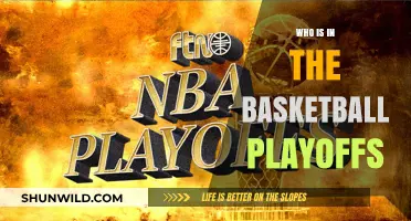 Which Teams Made the NBA Playoffs?