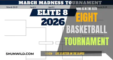 Elite Eight Basketball: Who's in the Tournament?