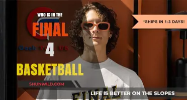 The Final Four: Who's Left in the Basketball Tournament?