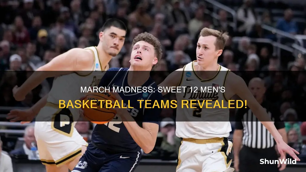 who is in the sweet 12 men
