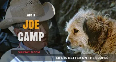 Unveiling the Mystery: Who is Joe Camp and Why Should We Care?