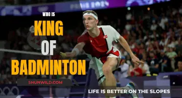Badminton's King: Who Dominates the Court?