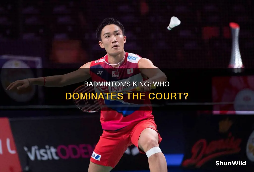 who is king of badminton