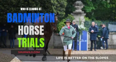 Badminton Horse Trials: Who's Leading the Pack?