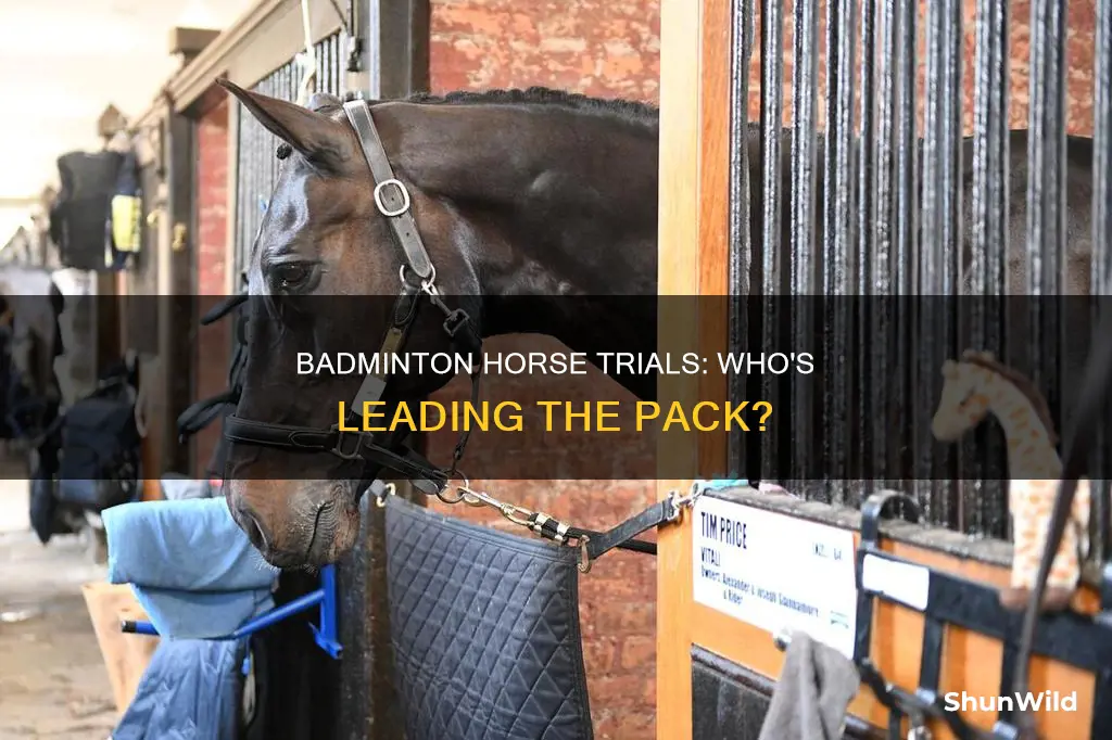 who is leading at badminton horse trials