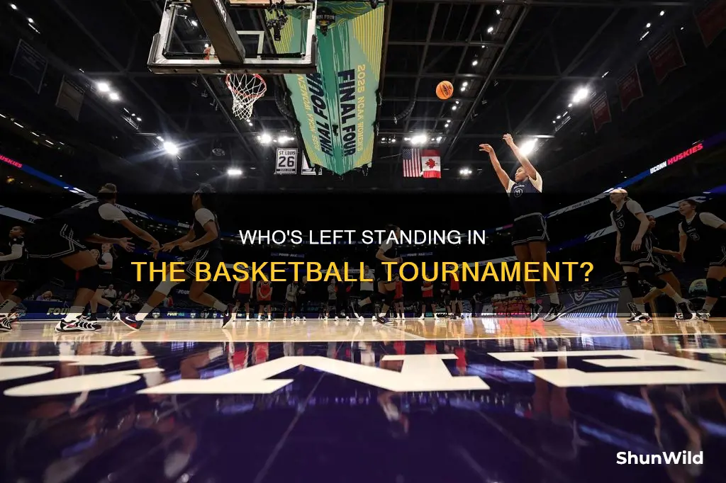 who is left in basketball tournament