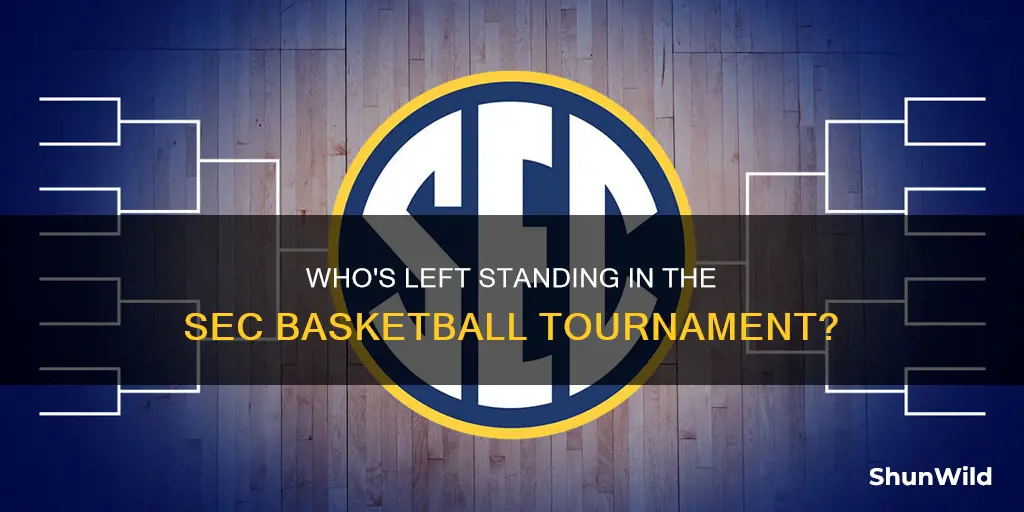 who is left in the sec basketball tournament
