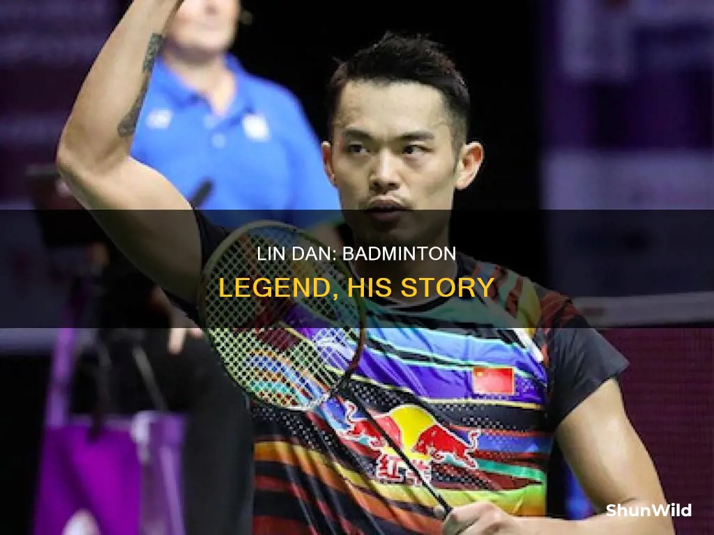 who is lin dan badminton