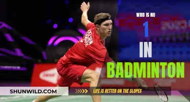 Badminton's Top Player: Who's the Best?