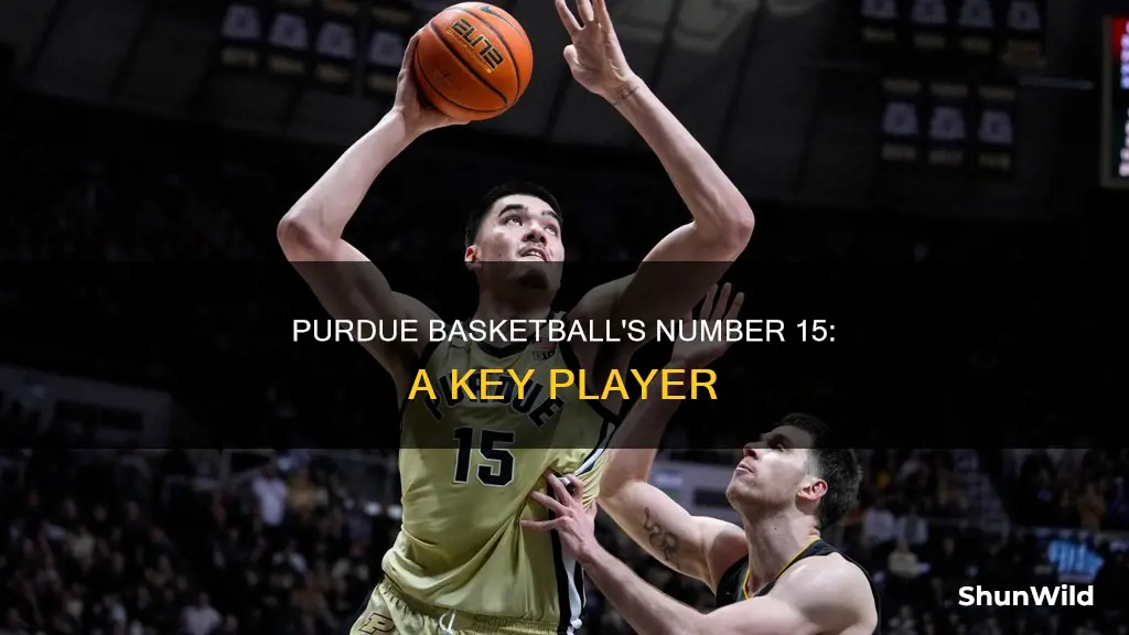 who is number 15 on purdue basketball
