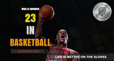 The Legend of Number 23 in Basketball