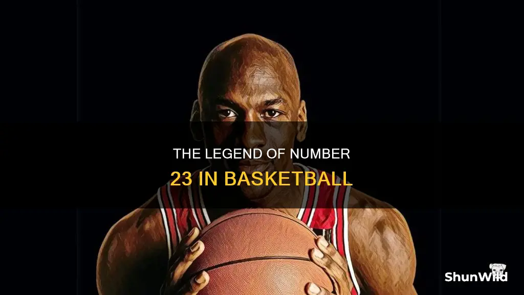 who is number 23 in basketball
