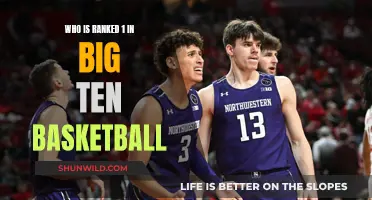 Big Ten Basketball: Current Top-Ranked Team