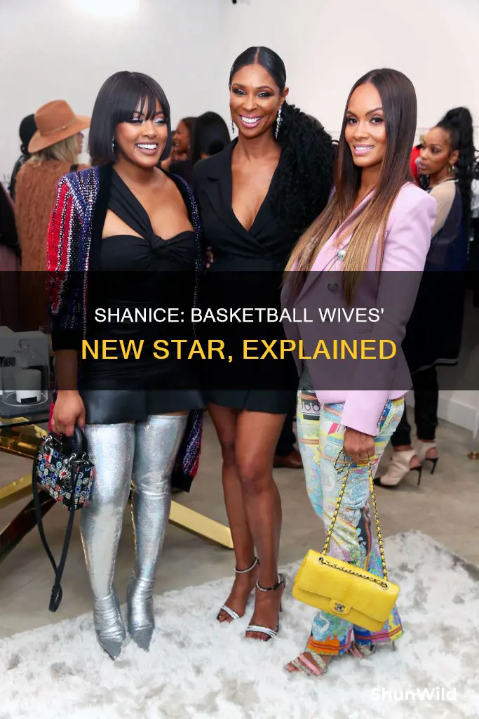 who is shanice on basketball wives