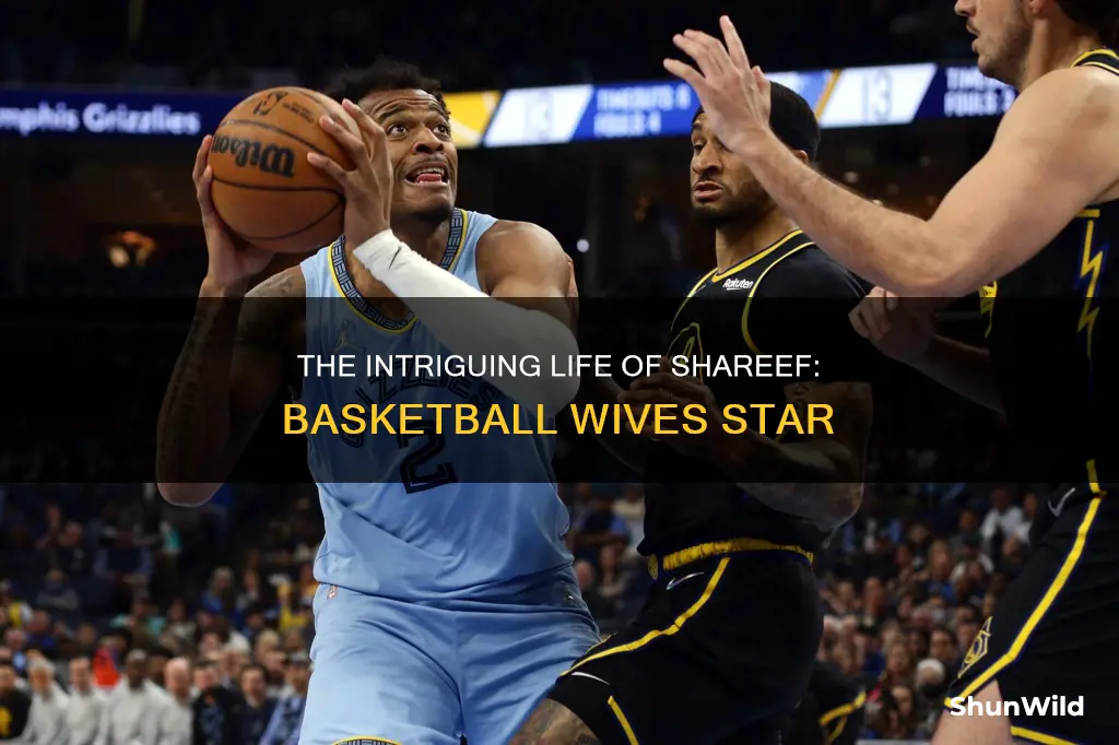 who is shareef on basketball wives