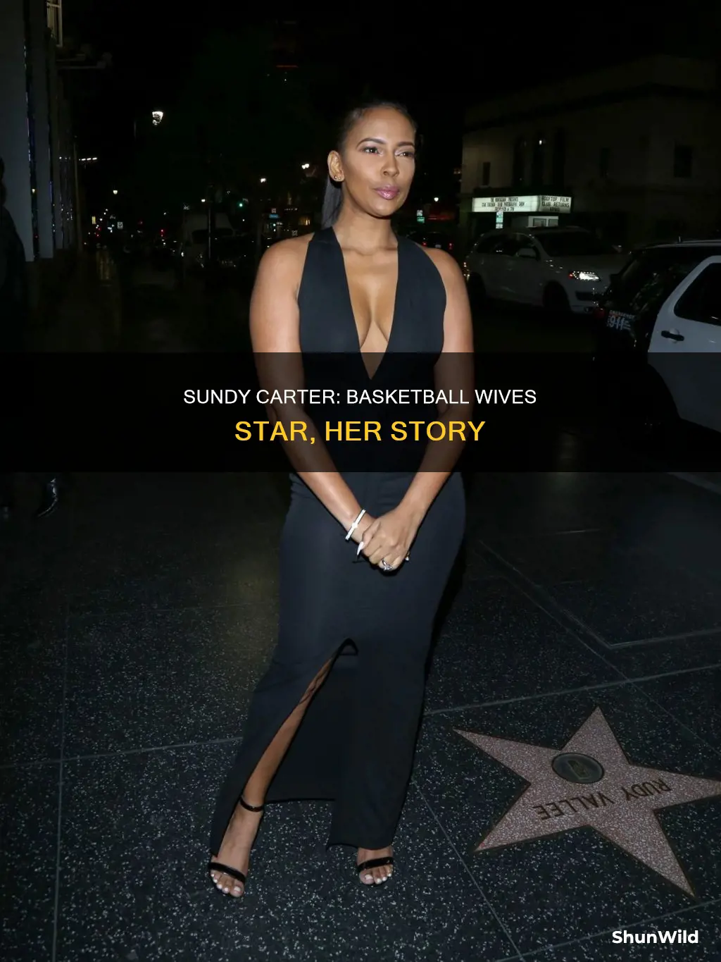 who is sundy carter basketball wives