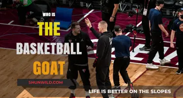 The Basketball GOAT: Who's the King of the Court?