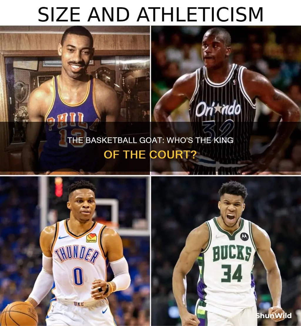 who is the basketball goat