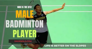 Top Male Badminton Athletes: Legends and Rising Stars