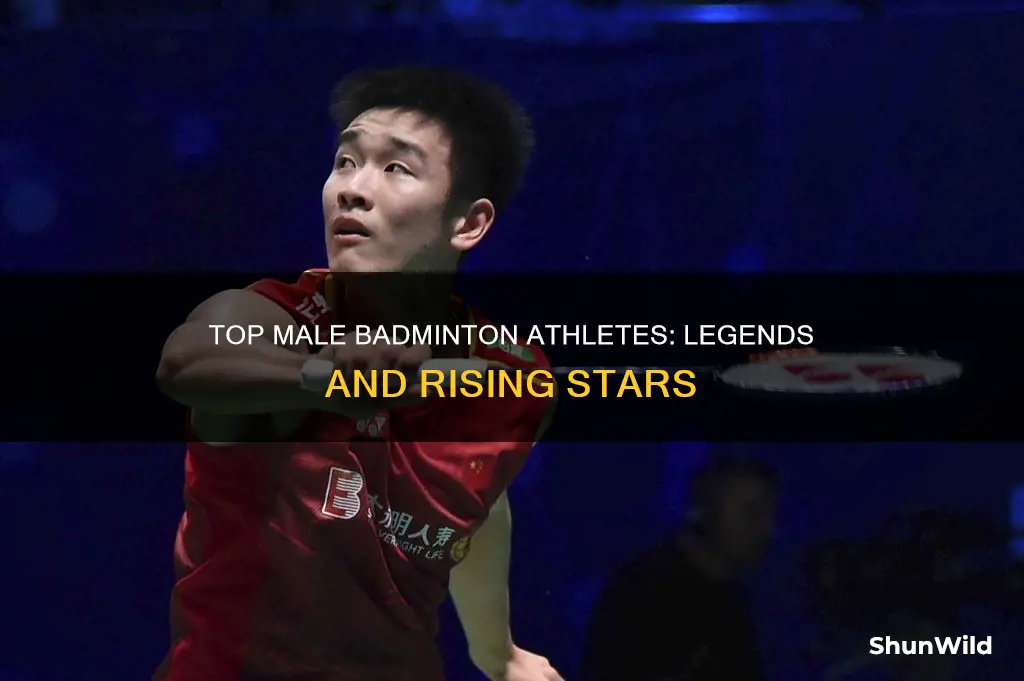 who is the best male badminton player