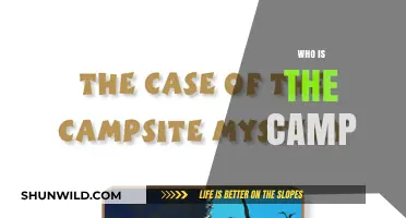 Exploring the Mystery: Who is the Camp?