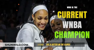 Who Are the Reigning WNBA Champions?
