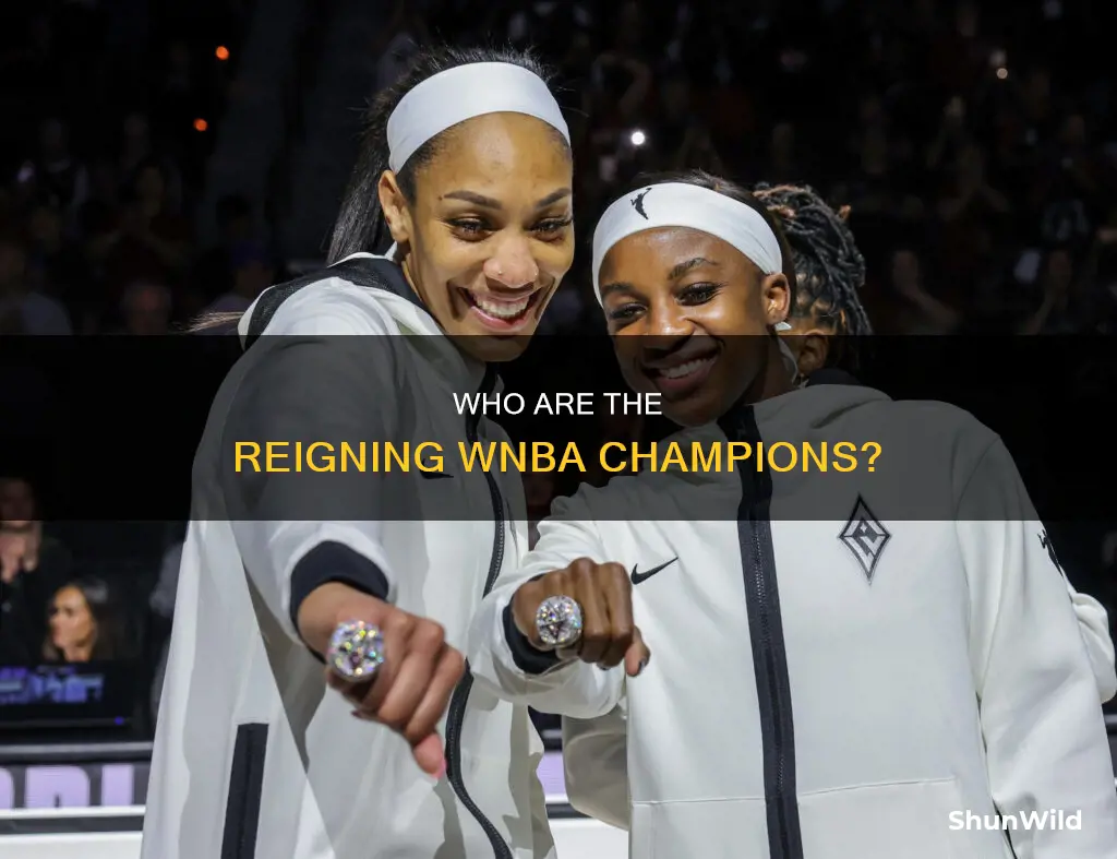 who is the current wnba champion