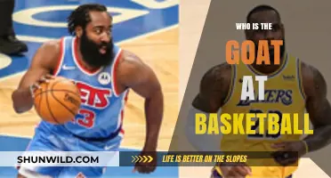The Greatest Basketball Player of All Time