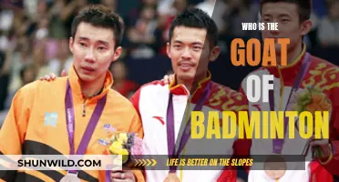 Badminton's Greatest: Who's the GOAT?