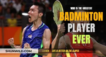 Badminton's Greatest: Legends of the Court