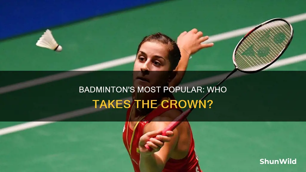 who is the most popular badminton player
