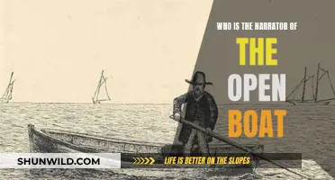 The Open Boat: Narrator's Perspective and Storytelling