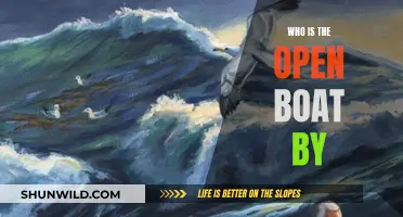 The Open Boat: Author's Insight and Exploration