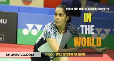 Wealthy Shuttlecocks: Richest Badminton Players